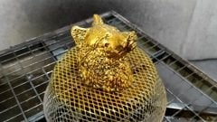 Altın Renkli Parlak Krom Verniği 400 ml